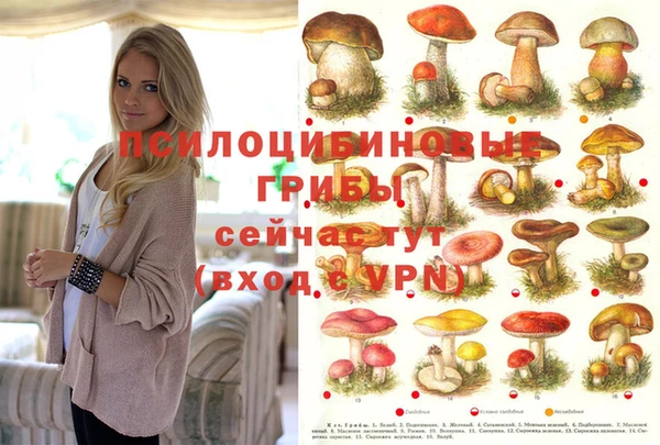 mix Армянск
